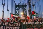 Pro-Palestine rally held in Manhattan, New York (photo)  <img src="/images/picture_icon.png" width="13" height="13" border="0" align="top">
