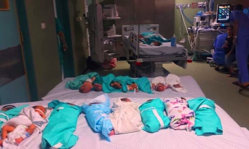 استشهاد أطفال رضّع في مستشفى الشفاء