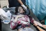 هنیه خواستار پایان دادن به قتل عام فلسطینیان توسط اسرائیل شد
