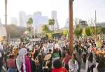 Hundreds rally in Los Angeles calling for Gaza cease-fire: Reports