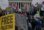 کمپین اعتصاب بین‌المللی در حمایت از غزه