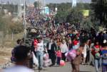 UNRWA says 1.9 m Gazans internally displaced due to Israeli war