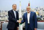 Haniyeh: Resistance is still strong and steady