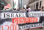 Pro-Palestine rally held in Chicago (photo)  