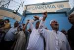 UNRWA آمادگی خود را برای بررسی کارمندان خود اعلام کرد تا اطمینان حاصل شود که هیچ یک از آنها در هیچ حمله ای شرکت نکرده اند (آناتولی)