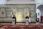 روابط ایران و الجزایر فراتر از روابط سیاسی و برآمده از پیوندهای عمیق دینی، فرهنگی و تمدنی است