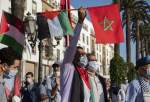 Moroccans stage pro-Palestine rally in Mohammedia (video)