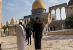 جواز ورود یهودیان در ده روز آخر ماه رمضان به مسجد الاقصی