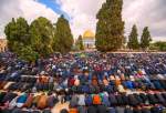 120 ألف مصل أدوا صلاة الجمعة الثانية من شهر رمضان في رحاب المسجد الأقصى