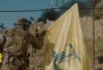 Hezbollah launches retaliatory operation against Israel atrocities on Gaza