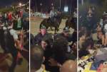 Israeli police, pro-Palestine protesters clash at Sydney port