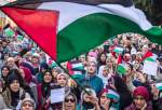 Moroccan women protest against Israeli forces raping Palestinian women in al-Shifa hospital (video)  