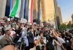 جنبش ملی مصر بازداشت تظاهرات کنندگان حامی غزه را محکوم کرد