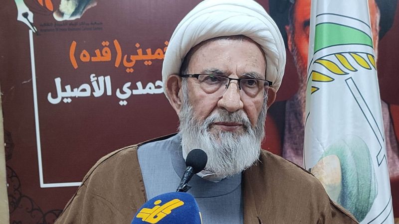 رئيس الهيئة الشرعية في حزب الله : المقاومة الاسلامية لم تفتح بعدُ مخازن أسلحتها