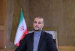 Le ministre des Affaires étrangères salue le bon moral des conseillers militaires iraniens en Syrie