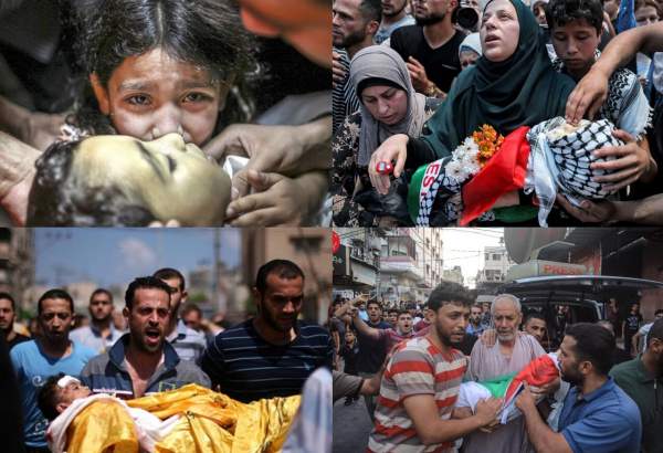 صیہونی حکومت نے فلسطینیوں کی نسل کشی کی ہے