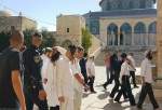 Israeli settlers break into al-Aqsa Mosque on Jewish holiday
