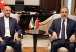 Amir-Abdollahian meets Turkish counterpart on sidelines of OIC summit