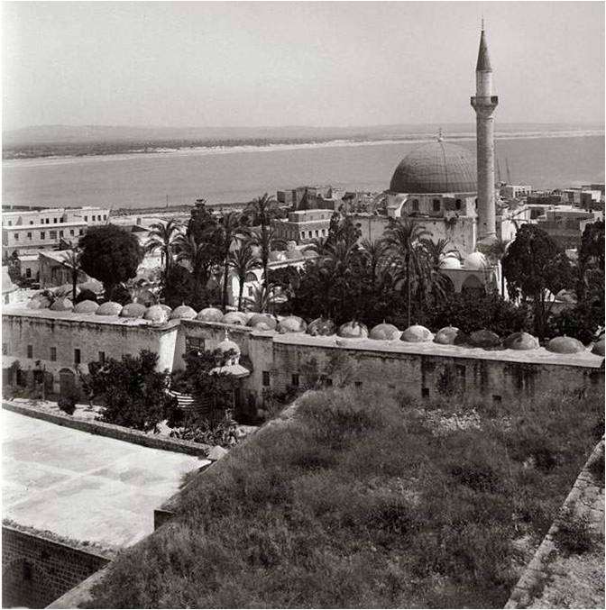 Pictures from Palestine 1890-1935