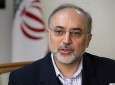 Ali Akbar Salehi, Iran Foreign Affairs Secretary-5