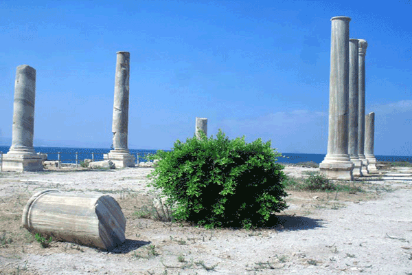 ستونها رومی