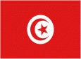 Tunisie: Marzouki président, Jebali chef du gouvernement