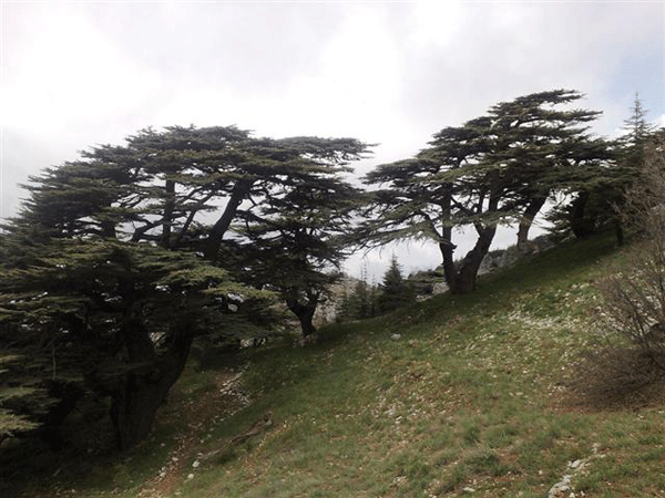 Ehden...Northern Lebanon