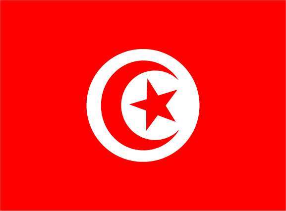 La Constitution tunisienne ne criminalise pas la normalisation des relations avec l