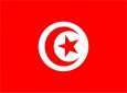 La Constitution tunisienne ne criminalise pas la normalisation des relations avec l