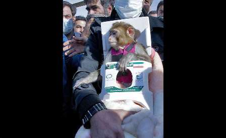 Iran successfully launched its second monkey to space and back, the country