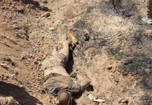 مصدر: جثث عناصر داعش تملأ أحد أودية ديالى بينهم أمير