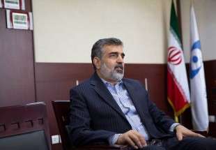 Salehi sends message to US through UK foreign secretary