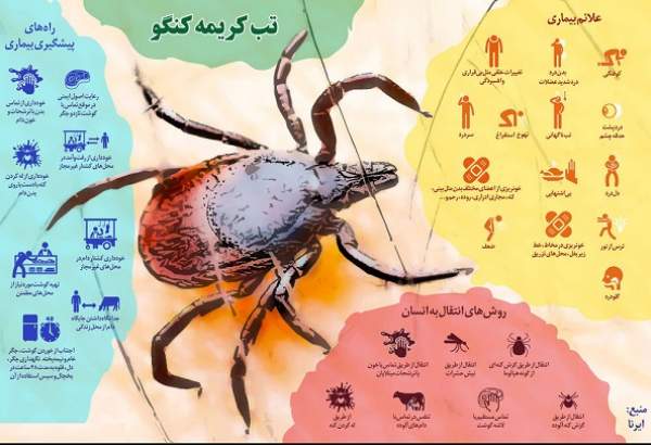 ۱۶ بیمار مشکوک به تب کریمه کنگو در خراسان رضوی شناسایی شدند