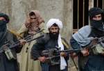کشته شدن ۴۳ عضو طالبان در غرب افغانستان
