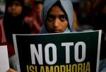 Researchers, activists express concern at Islamophobic wave in India