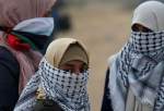 Brazil university awards PhD to thesis on Palestinian women