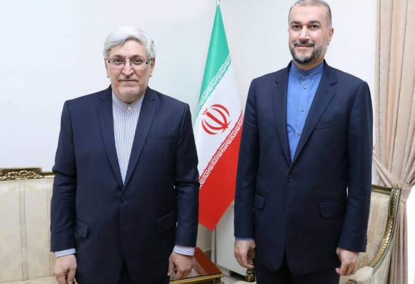 Iran appoints envoy to UN Vienna