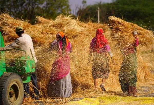 Iran’s H1 agrifood export shows over 20 per cent decrease