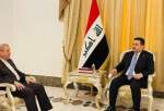 Tehran affirms supporting Iraq