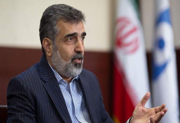 AEOI rejects access to "individuals" in Iran’s nuclear sites