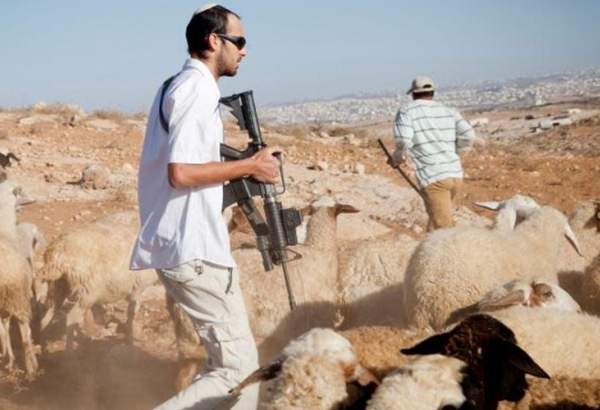 Extremist Jewish settlers attack Palestinian citizens, properties in Ramallah