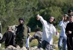 Israeli settlers attack Palestinian homes near Nablus