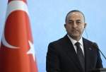 Turkish FM reaffirms solidarity with Palestine