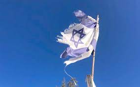 Des corbeaux attaquent le drapeau d'Israël : la Toile s'enflamme