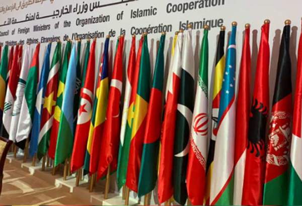 OIC calls members for unified stance to prevent future acts of desecration