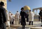 Fanatic Jews storming Al-Aqsa Mosque. (File)