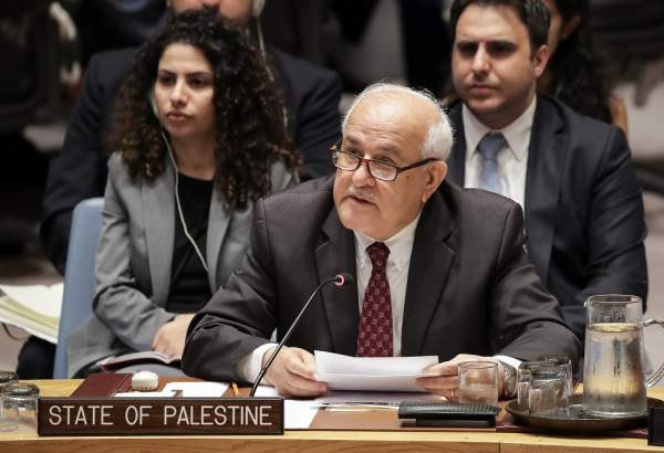 Palestine renews calls for international protection and upholding accountability