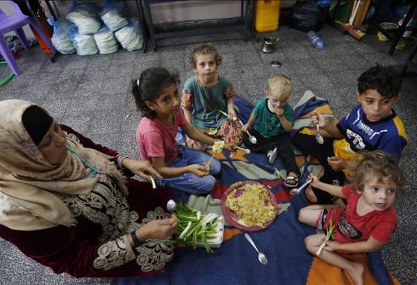 UN says more than 423,000 Palestinians displaced in Gaza