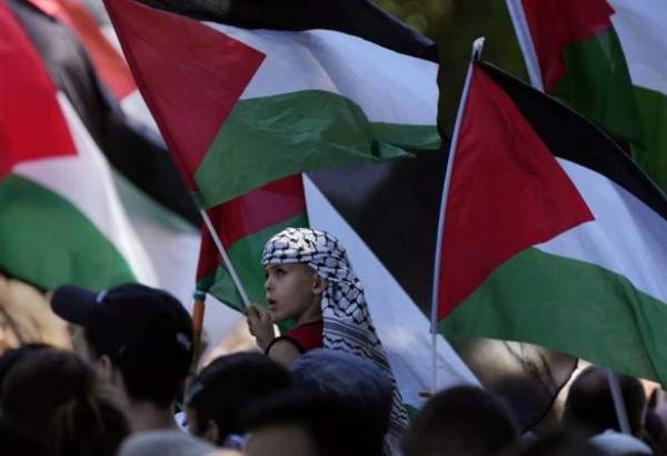 Pro-Palestine rally held across globe (video)