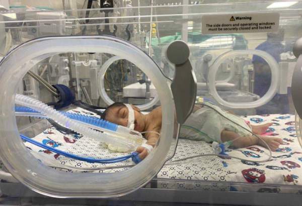 Two premature babies die, dozens at risk of death in Gaza’s besieged al-Shifa Hospital
